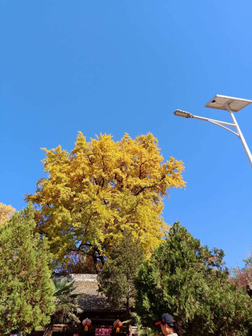 NpA3ZLJlk-LayxKpm3ufpnqah3_3fj4rPXz5S6U93vECC2aUMV873M3KDjwlMptk