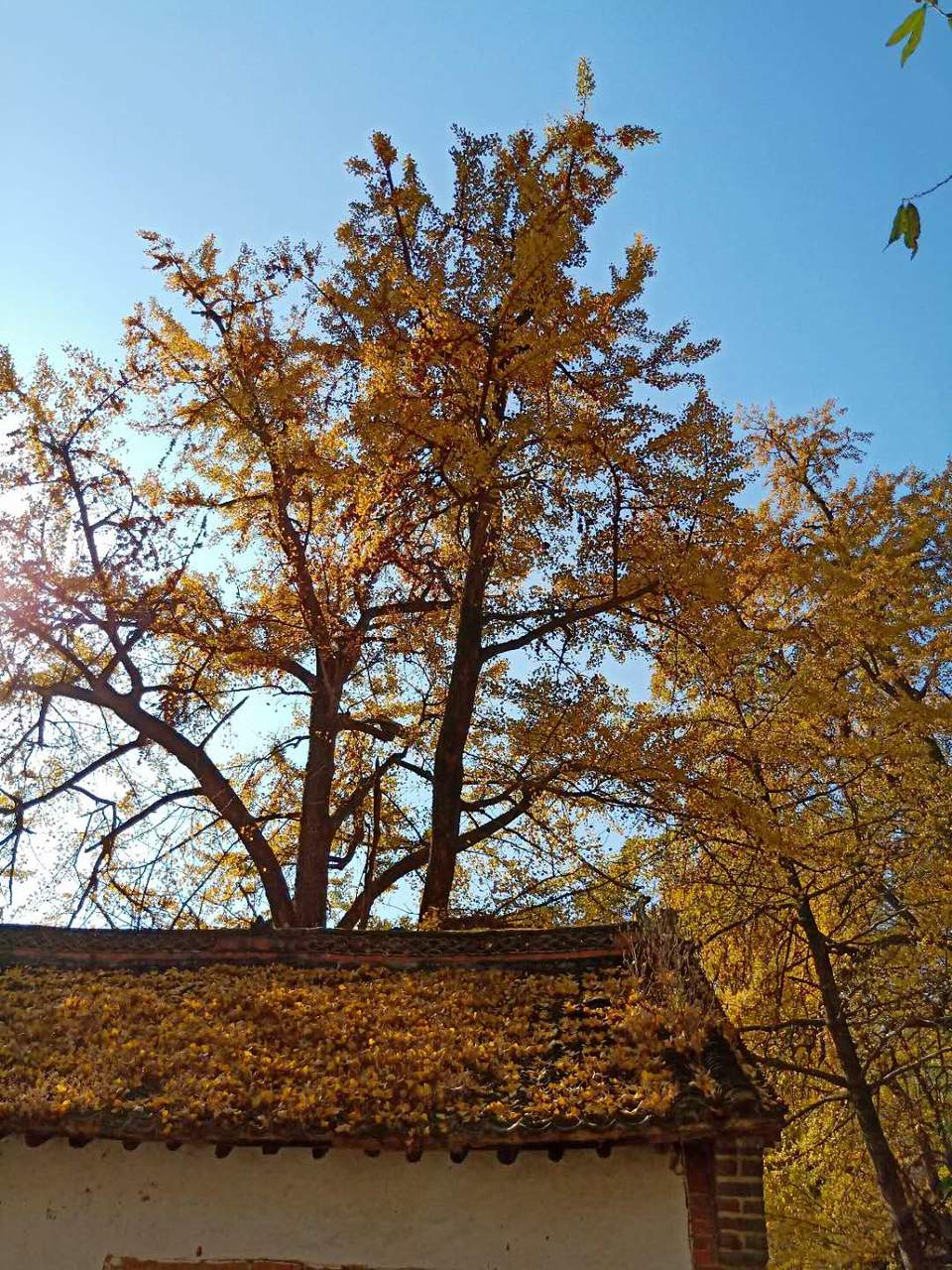 Q4p6E7J1dT6JGUs_b_6SQ4QWBoccr7Ci9rcP3EXzPbN46ZA82Q2PuoOn6D9BLZkc