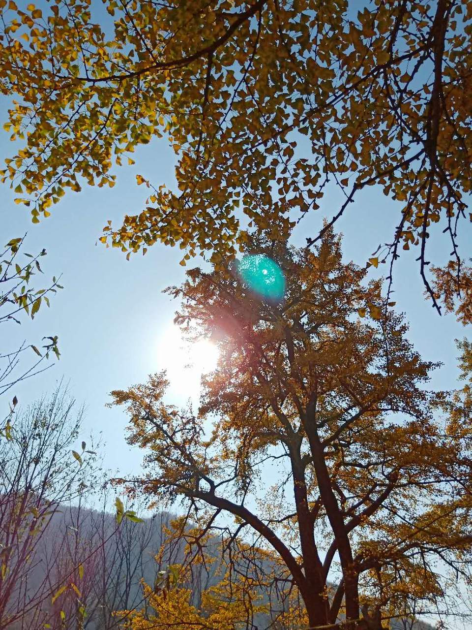 wGsblvtnABrJgirC_9wNtlcWRV17TCTEFmJIlojweUpBGGEmnCRuX3ubSL6UJHR2