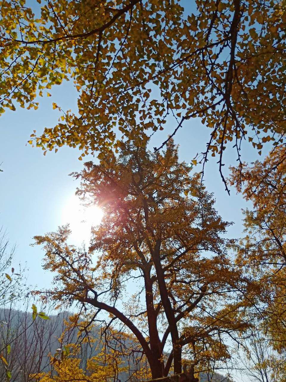 bWnyBR9eyBz0lw3B-r317AFrhqEmZbPL2Apn55SJR39PI_KqKb4LEqPMnS8XGsb_