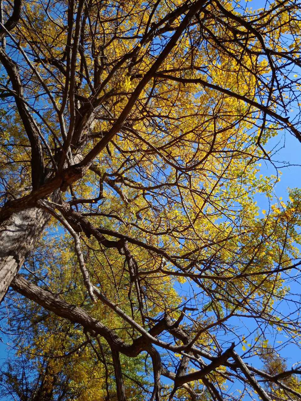 ICU95dd0fx8henOYsgYCFLAtySJFhrxDlOeH4pYwo-FTQDdDQfp1X7CWm7oiimYW