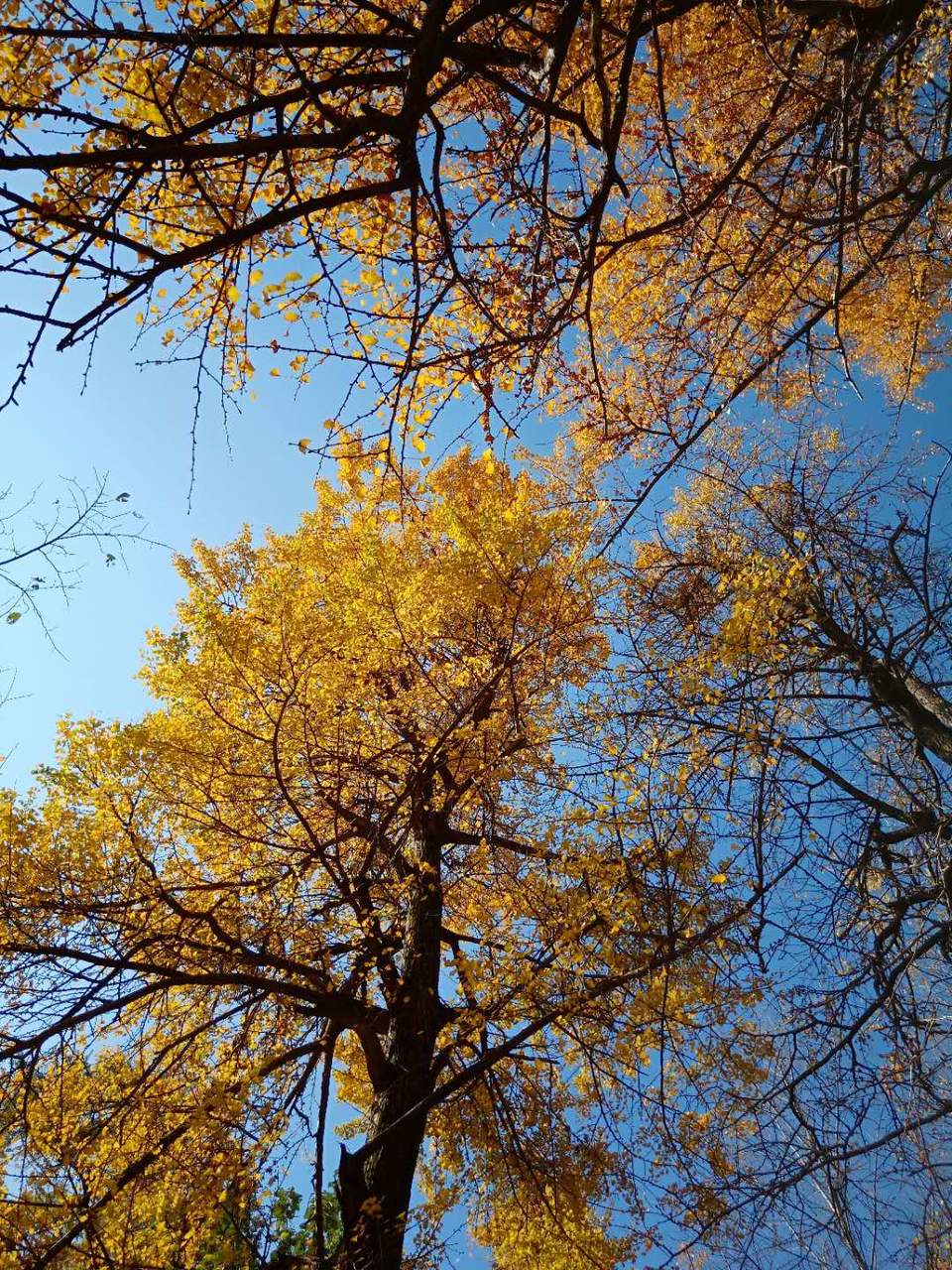 jvLQCwpXMoz1oDz2RxLQp3zVP5OrDKpHkeVRroxf5PtNNNnv-FC2ILMCD608VLG5