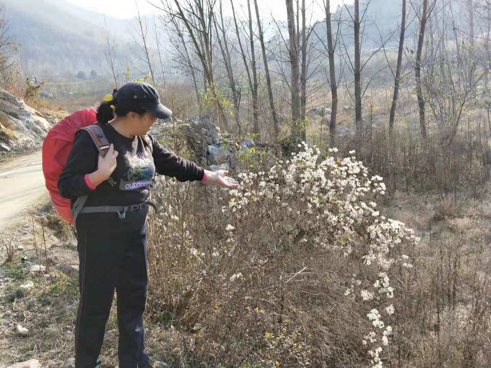 3LrCMojzLXXUmb9hZMtg8ZVMO7pNXwdDRv7r4vT0oTL-OIpb_efLwVXRhlOpTTkX