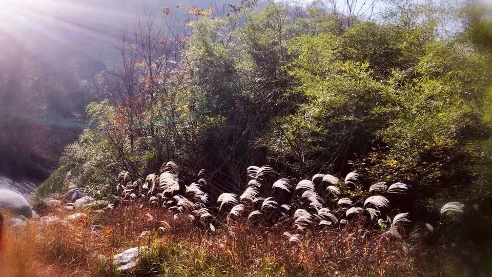 rDHyMwYIAACHxfoNStm605XqON5ck4fLmWITkPUlEu-lMrjNWzW_rdOkFIyLqkLo