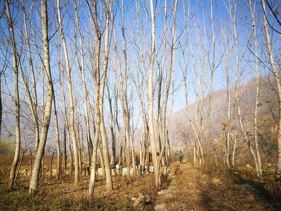 4Gw5coTqB9dr54svuN1Qf0dCNWnjQYuWduszcBxLt4Ah-DZyCXe1Z9VhTxv5c-Fl