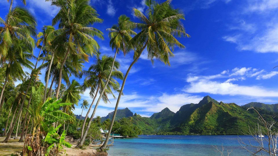 jP6ojbt6OznBB2MkDtFNTmv96EsfbXlyUG5yJgT5CiXfcZfZXyqTQ5m_B5B6WtG2