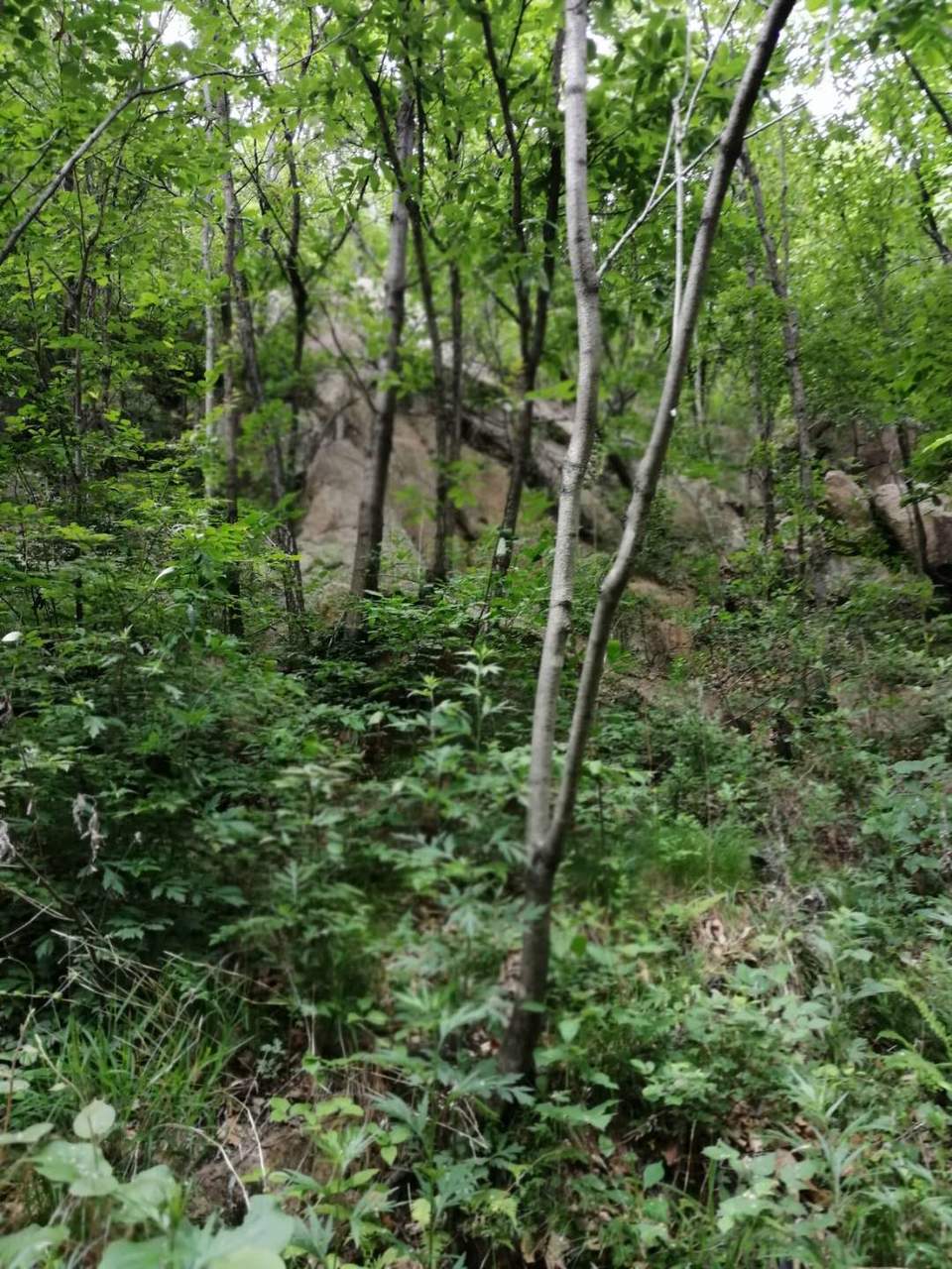 f5rR-AAU0Tz73kd2qe41ZxIbKw2YOzqvfXfBABwZJh8r3GTP6KebtLR5RKuT2-zr