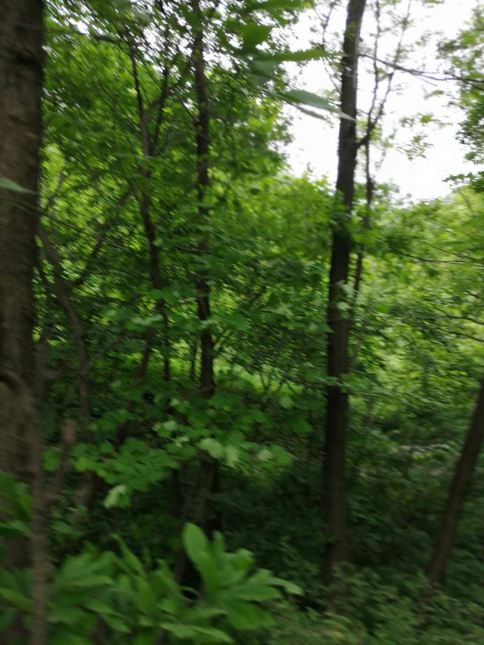 OIE34TzU79ev_I_qd3-uFZ-hLNVD3iF_PCAWRg1tInswFjbEyTerBJ-tyS2v_9VJ