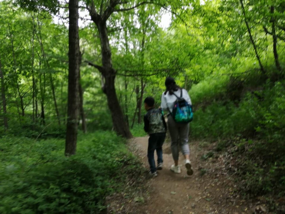 8a-Yw4Fj2kTxLGN_vJqVR52ra7fuk2BvKCs7fzqrCzUKaUKHSk3O8DIo0oEBSq_B