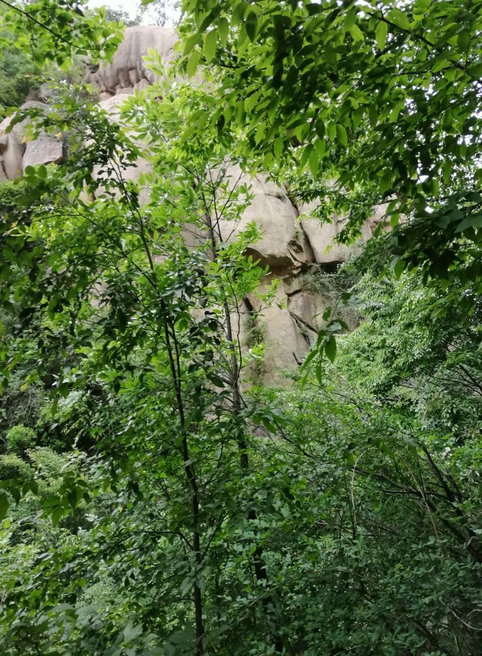 V6bt3GqfK84iNUQUA07eYIrfS4jOaV8WJFxwwKqaqG_ucu8CUGv42RP4HZd0y8ch