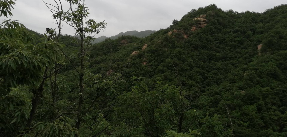 _i66m18wn8K5yK6m-pCF45jsMog-2_lJ9dGA3qW6QldH0WTp3yQ-un1NsJyJPp_L