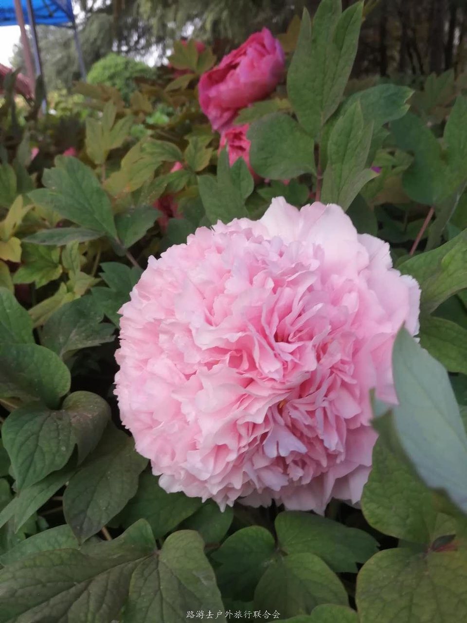 QIqZPJ8k0a95vMMlUge-RF4PqFrkb2tbT2UtOBJF_8uJoGCVV59Bpp-juDQvQj0d