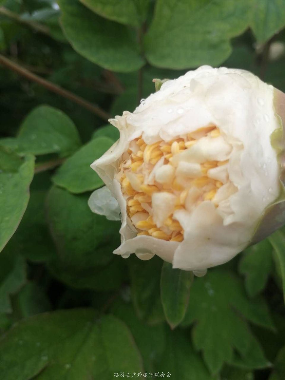 05hJjxhsEvcgByZV3KIqnemZ3CRu0V5cnM1V2GrqwMbIHyForJ2yFx9MMrAOdr4r