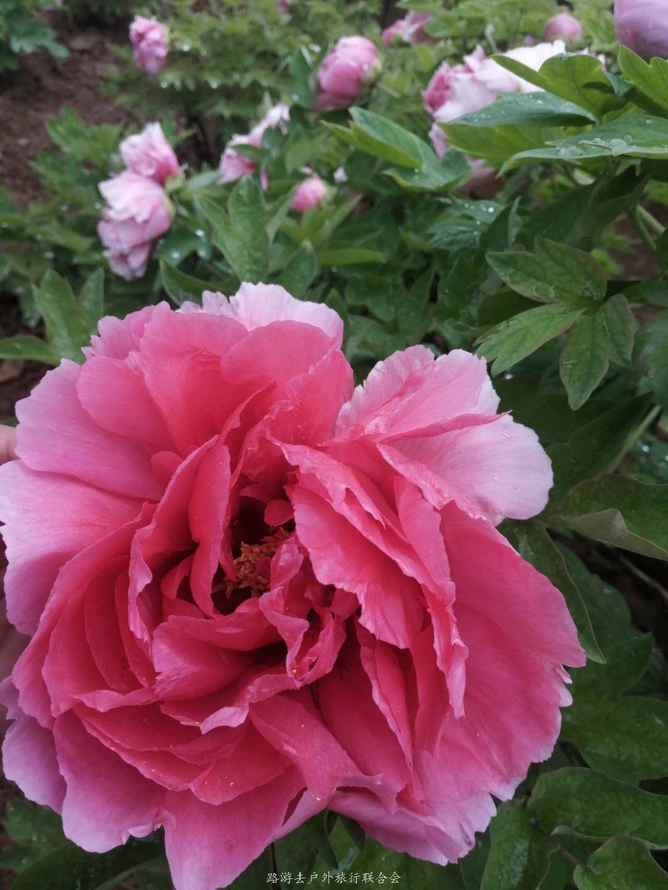 tdmeE0jGXv5uqDybCWh9lPiT-_5TJ2WHwV2oybLmgYzyglrpQ2AfUmE8pJL5874v