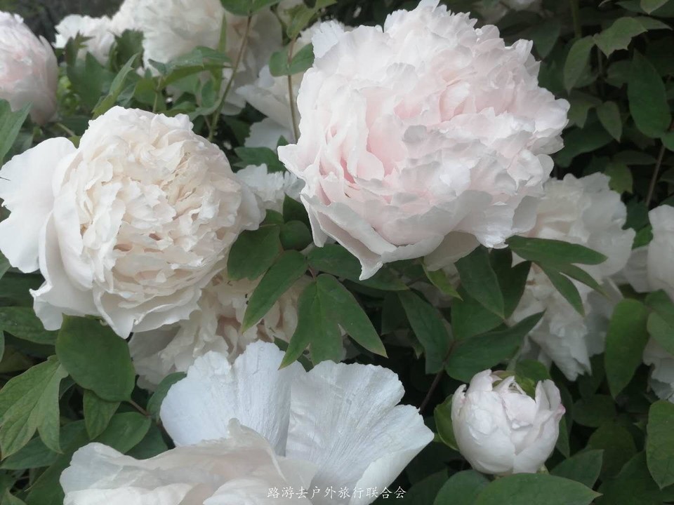 MBf1B1XIRUCFxCau3OMFXwhSffkh8X0qin2NWVlYQ8uOvO5HfRhyLDigiS-YRv4O