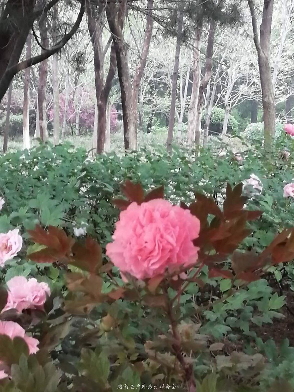 AiTg8-eu16R2FJmwtUSqA51nXfGJ8J_mVwt09GH7E7uZp8zXIYnDXio0ElQ7JG3M