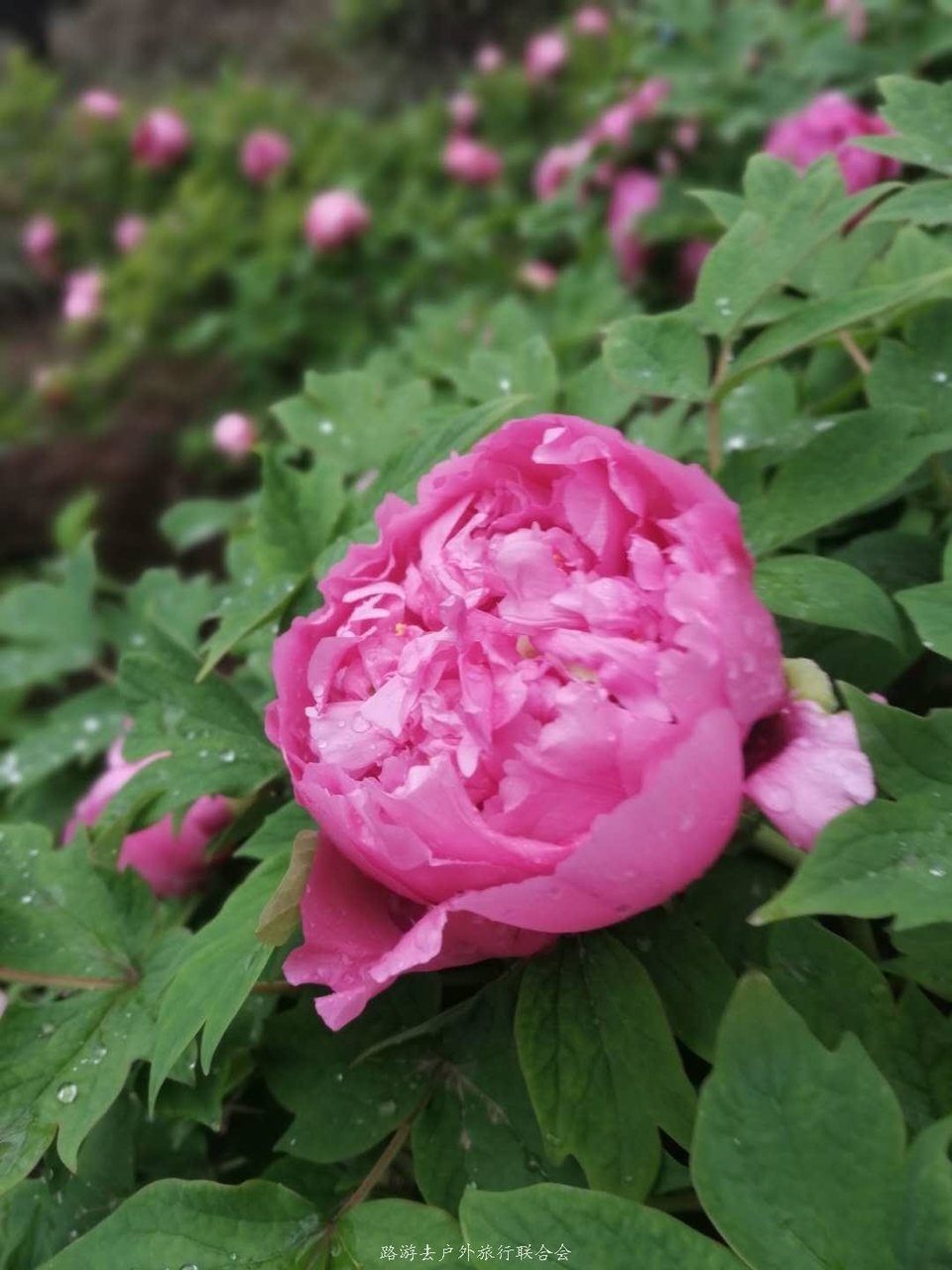 q7HCcmr7LbVdDl3KgKUPmgvK7Ez1FiPbSiWi_cegjwqhaLSAj7pLc2_XBNkz_opr