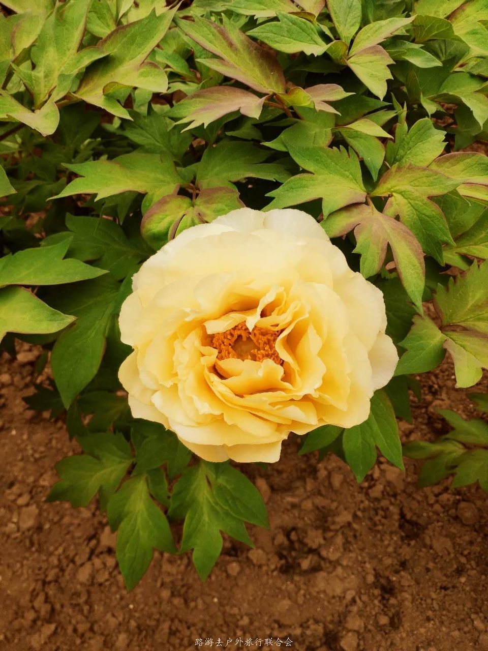 a_6okq3hpGZdlCofsD3kSySzxOyFMwnJ0StdpuccNbRa7u6whRiQnRFf6eOCxWF1