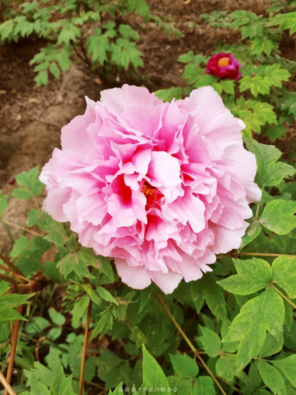 EeZRgqX7QFEjIfXBAKCP-B9TV2hgPnJ9ArIgHTb14_-AF8KNMtRQP_Z-vQsWJuaK