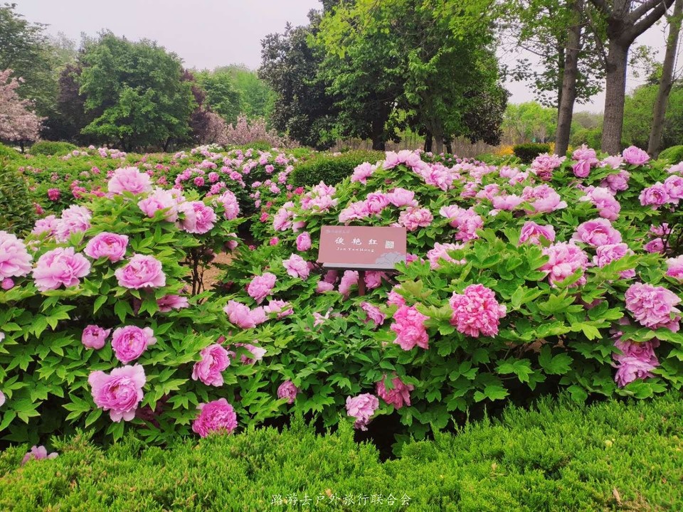 YN-EB8Np6yAo3OkHY6Y-COqQBDOkshTkpPYLfaFg52t_x_jOuhq_06AdSHGpvQDz