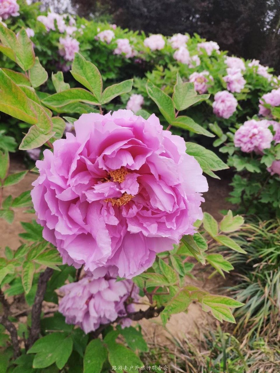 VRWwSiYgIBntZcsoEynW8qQ1ZGLMjV0YrM2zCWenSuWDnuuYxpFebGF2WXdCZrCM