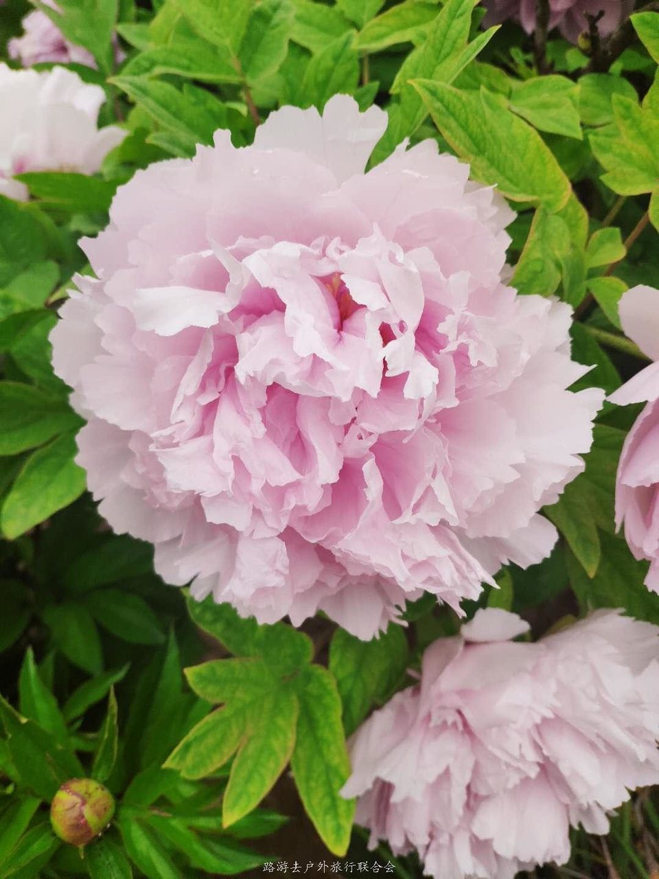 ezP6mEZcdUz27Thiv0abAQmtiQN57Xh5TJOw0CD0ZigUCOrTjQPYaV-9bMukVWGy