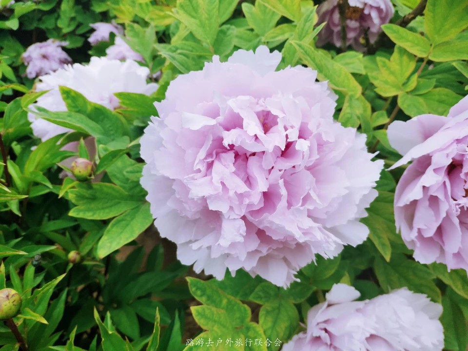 4J2yoNUTzCWajdp9gOXokAD94OsbRmbFsw21C7wFb2SqgcxPSB0aNqp0Ow-AZ4JW