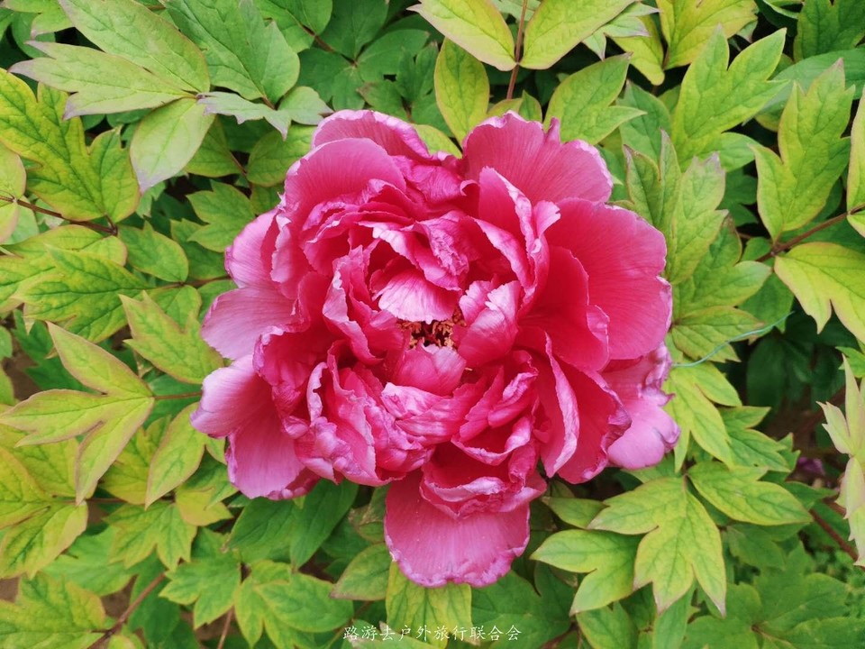 GKgonDGeg8B-JONCzdmYriPjfEFP4988ZFx0lXM9XknE5N11wFNT84gm-UoyFwyz