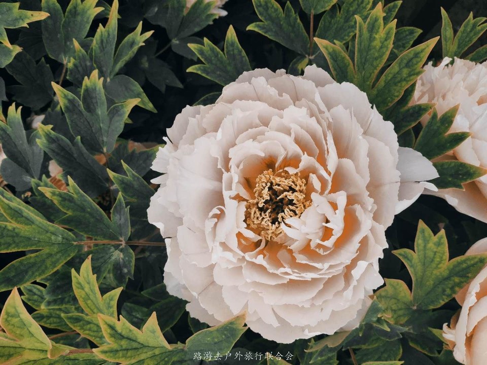 C85AqRifIw0ElqybcwWiOJC-AP56n0LO1kndutSI1axO23gCRmrO8bfqjwDAcnPp