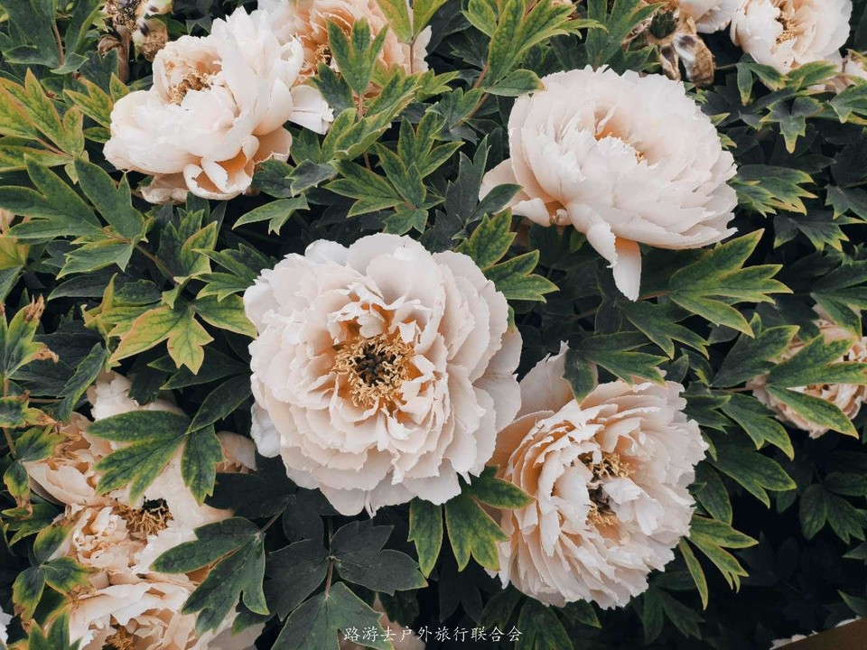 MSjO7vkYIfm0ilhsAZo0e8aCaAG8JovWGHFzFkFtHJu41ArbKI3_rCc4MQAvTzT5