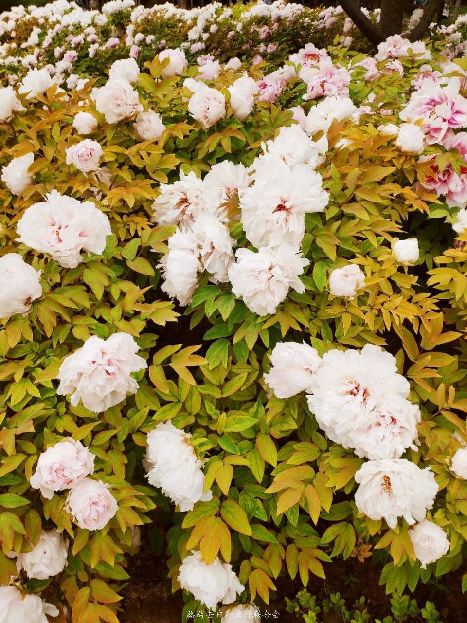 xs8LE5oD-mXN35q7Bl3Biv6sA4VgHRsCpD2p5anQJJMlwxUWorYY3DdAwp61fBSW