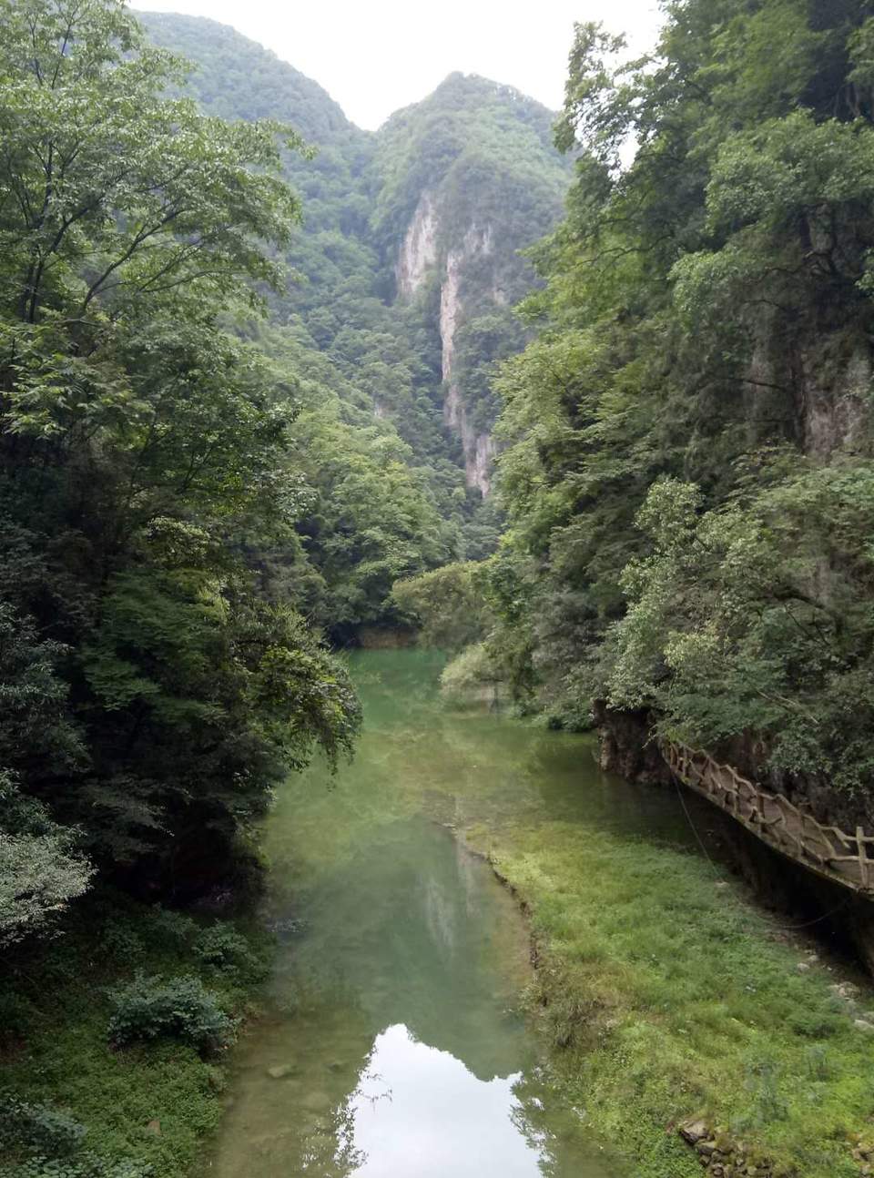 FdUphRQtZyO5JQXBq0ramdMgelMPM-eXg12bOgSR_8vMmVwyw0H41ELU0sK30pJS