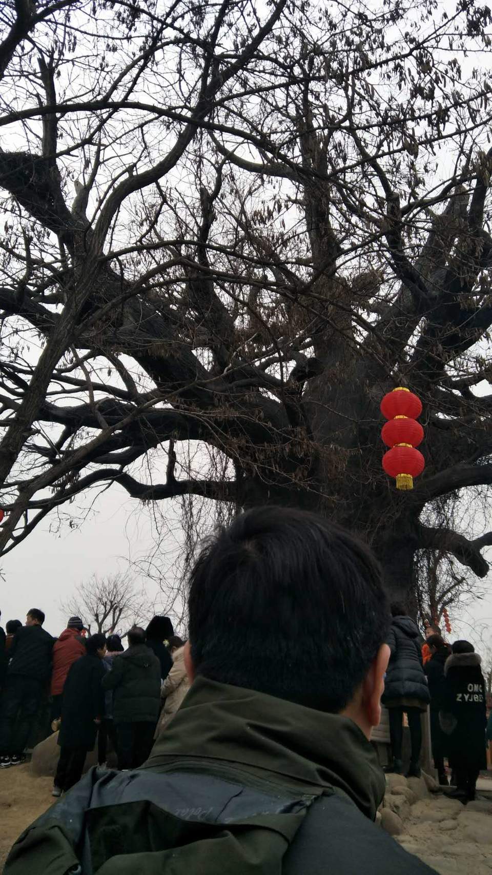 42Z9fiuWOMZIo4pqMBhw8CJp1wlM1jXmcznDCrfHfabwQCvBsy8BH_N8dj8jr9qX