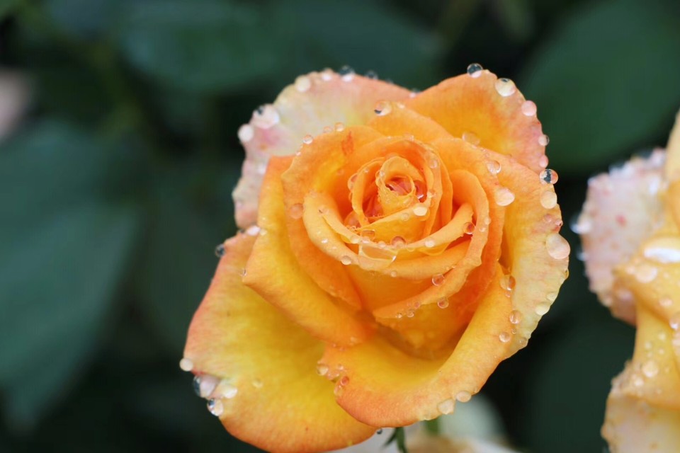 mmexport1526028075117