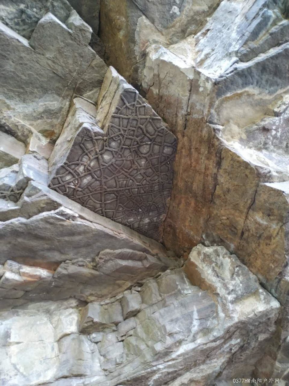 bu4yAUUcnxCtVDi8LeoIwMp_vXwjN2dOISp5tAlIdjizqQbM9AHy6zz5dYg3u9Xg