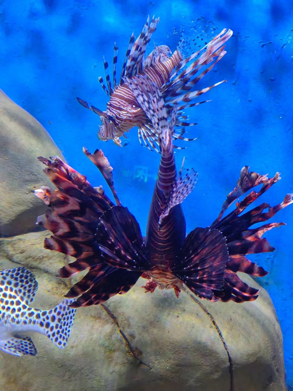 mMa-AVMnsaejNck5jZX_Hj9BCoeRaHTcts2sCiSmP_73FEaTFNojn21lLDEzk5CN