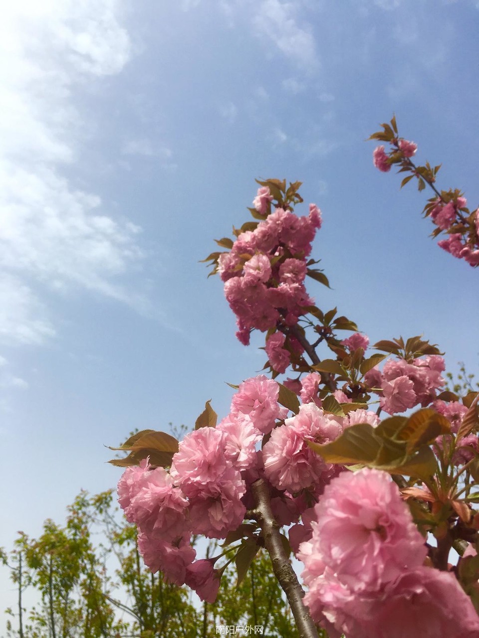 C79A9EEA-CB39-4A20-9472-01A58F265AE2