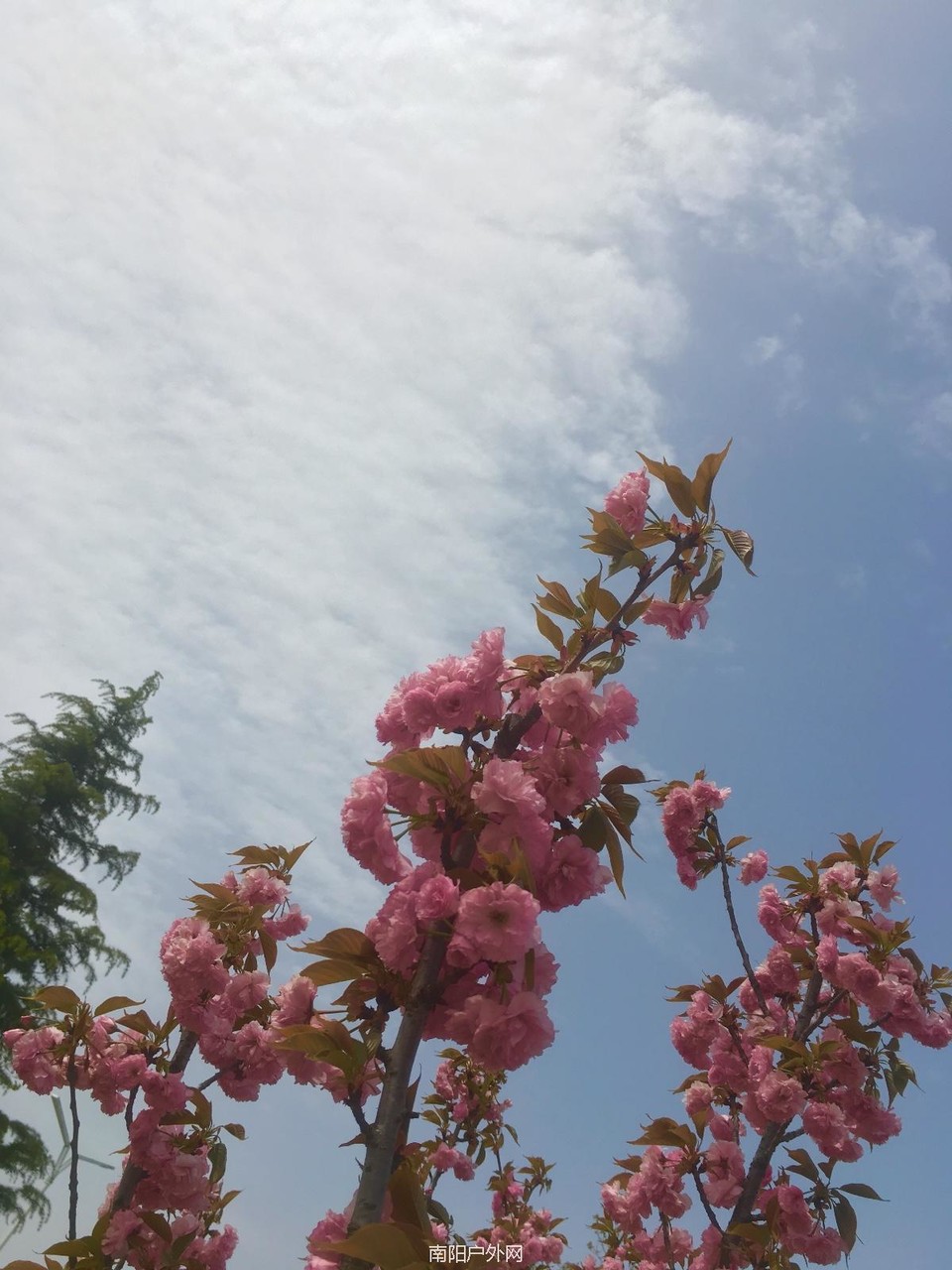 339C3F77-906B-4AC4-9444-B79A09C295D8