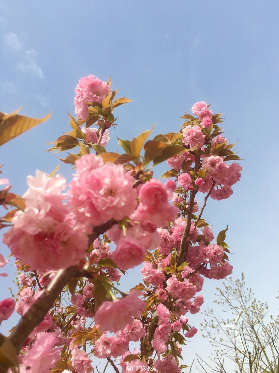 653ABE24-FC65-4866-94DE-115EAEF87F03