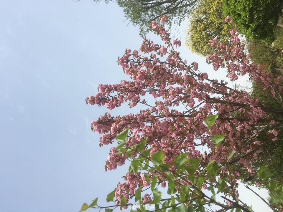 50E76102-BD11-4845-AB82-384930C3CB75