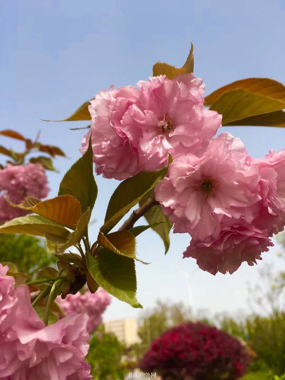 025BABE9-E90E-4A85-85C2-FDF65390BBDB