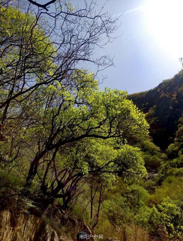 5A3CF4B1-FA7A-47F7-83BB-A0FE3F6177CF