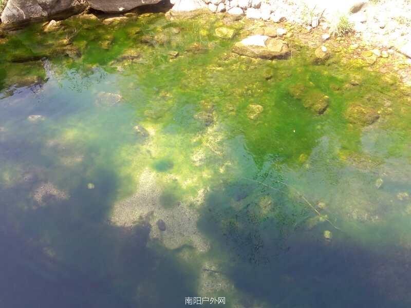 2C39DFF1-DA1D-4AE8-BCAE-612514451530