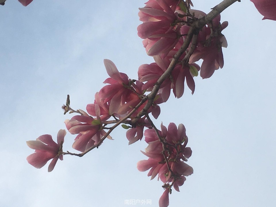 33DD035D-F3E6-4184-98C7-3846296F9018