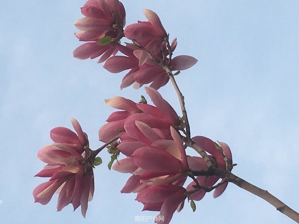 5EE8FED5-6889-46BF-A5F1-267C530CFEC1