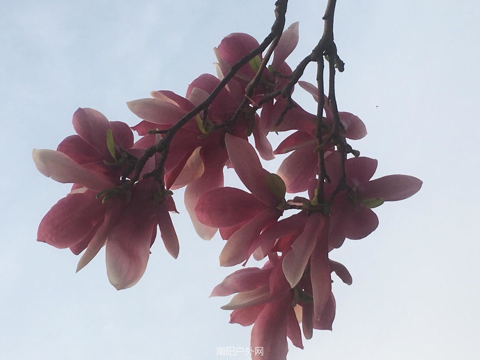 B88EC724-BAC5-43D7-A7D5-D676B1D67672