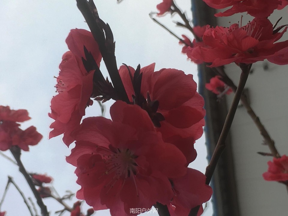 7C389FD8-A5AD-4E71-A76C-C27A7EBA022B