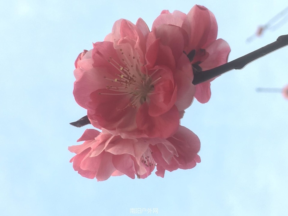 BF75BAB0-7F02-4986-9711-85C85CDDFF96