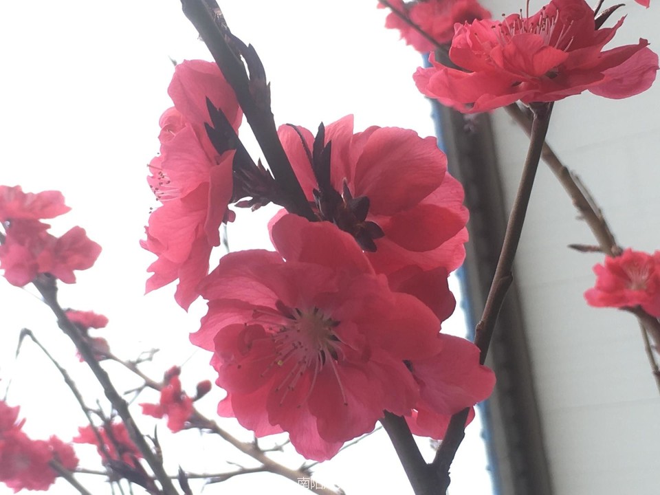 25DE64BF-9505-443C-88F2-E1608E95EA40