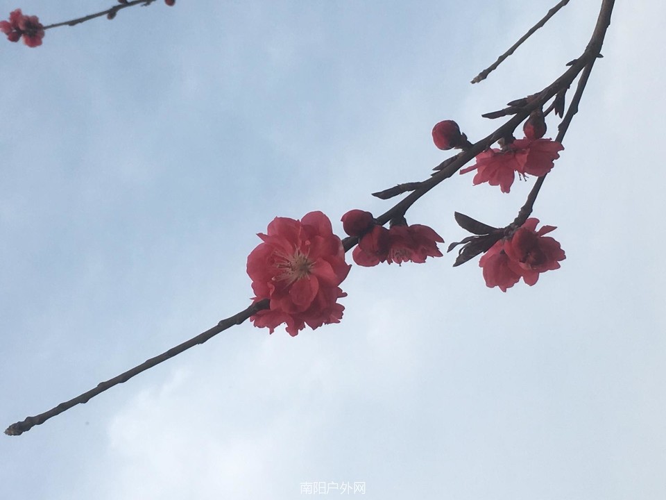 1DEAFFA4-1188-4666-9C1C-A075EE152595